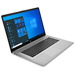 HP ProBook 470 G8 (439T9EA)