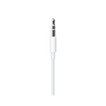 Apple Câble Lightning vers Jack 3.5 mm (Blanc)