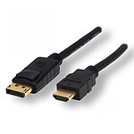 DisplayPort male / HDMI male cable (2 metres)