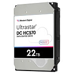 Western Digital Ultrastar DC HC570 22 To (0F48155)