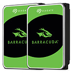 Seagate BarraCuda 6 To (2x 3 To - ST3000DM007)