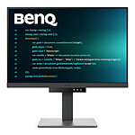 BenQ 24,1" LED - RD240Q.