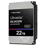 Western Digital Ultrastar DC HC570 22 TB (0F48155)