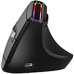 Mobility Lab Premium RGB Ergonomic Mouse.