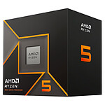 AMD Ryzen 5 9600 Wraith Stealth (3.8 GHz / 5.2 GHz)