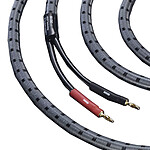 Real Cable 3D-TDC/3M (2x3m)