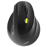 PORT Connect Ergo Rechargeable Bluetooth Mouse (Right-handed).