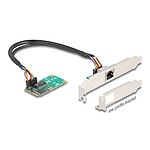 DeLock Carte réseau Mini PCI Express avec Ethernet Gigabit