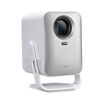 Acer AOpen Fire Legend QH31s Gris