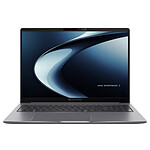 ASUS ExpertBook P3 PM3606CHA-MB0228X