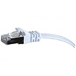 Câble RJ45 plat catégorie 6 F/UTP 10 m