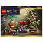 LEGO Harry Potter 76474 Le Piante della Lezione di Erbologia di Hogwarts LEGO Harry Potter 76474 Le Piante della Lezione di Erbologia di Hogwarts