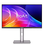 ASUS 23,8" LED - ProArt PA249CGV