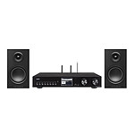 Imperial DABMAN i560 CD + Triangle Elara LN01 Noir Mat