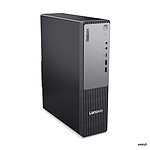 Lenovo ThinkCentre neo 55s Gen 6 SFF (13DM004JFR)