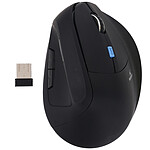 Bluestork Ergo Pro