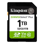 Kingston Canvas Select Plus SDS3/1To