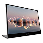 Lenovo 16" LED - L16 Monitor