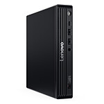 Lenovo ThinkCentre M70q Tiny Gen 6 (13A40050FR)