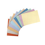 Rainex 250 Sous-chemises 22 x 31 cm 60 g Assortiment de coloris