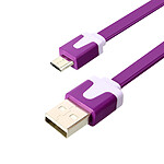 Avizar Câble Plat USB Vers Micro-USB 3m Charge et Synchronisation - Violet