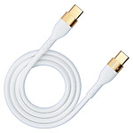 Evetane Câble USB-C vers USB-C 12M 100W Blanc