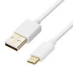 Inkax Câble USB vers USB type C 2.1A  Câble 1m Charge rapide et sécurisée