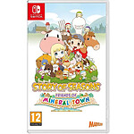 Story of Seasons Friends of Mineral Town (SWITCH)