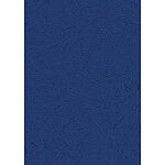 PAVO Paquet de 100 Plats de Couverture matière synthétique 250g A4 Bleu foncé
