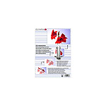 OLYMPIA Paquet de 100 Pochettes de Plastification A6 80 microns