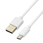 Inkax Câble USB vers Micro-USB 2.1A  Câble 1m Charge rapide et sécurisée