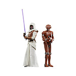 Star Wars : Galaxy of Heroes Vintage Collection - Pack 2 figurines Jedi Knight Revan & HK-47 10