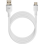 LinQ Câble USB vers USB C Fast Charge 5A Synchronisation Longueur 1.2m Blanc (TPC9309)