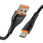 LinQ Câble USB vers USB C 3A Charge et Synchronisation Longueur 1m Noir