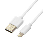 Inkax Câble 1m USB Compatible iPhone iPad iPod 2.1A  Charge