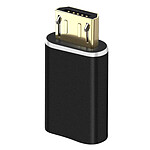 Avizar Adaptateur de charge Lighning femelle vers Micro-USB mâle Format Compact Noir
