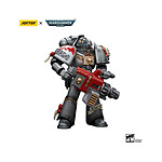 Warhammer 40k - Figurine 1/18 Grey Knights Strike Squad Grey Knight with Psycannon 12 cm