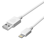 Inkax  Câble Lightning 3m Câble USB vers Lightning Charge Synchronisation 2.1A