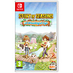 Story of Seasons: A Wonderful Life Nintendo SWITCH