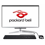Packard Bell OneTwo C24-1100 (DQ.UB7MF.004) - Reconditionné