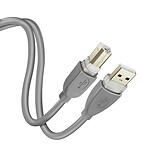 LinQ Câble USB-A 2.0 vers USB-B 2.0 Transfert Rapide Connexion Stable 3m  Gris