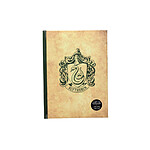 Harry Potter - Cahier lumineux Slytherin