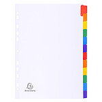 EXACOMPTA Intercalaires carte blanche 160g avec onglets couleurs renforcés - 12 positions - A4 - Blanc x 20
