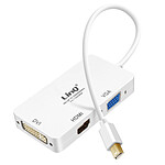 LinQ Adaptateur Mini DisplayPort vers VGA / HDMI et DVI, pour Écran et Vidéoprojecteur, Full HD 1080p