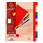 Exacompta Jeu d'intercalaires mensuel polypro 12 touches multicolores Format A4+ x20