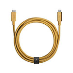 NATIVE UNION Câble Eco Belt USB-C vers USB-C - 1,2m Jaune