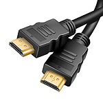 LinQ Câble HDMI vers HDMI 1.5m HD 4K Adaptateur Micro HDMI et Mini HDMI Noir