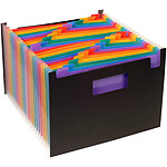 VIQUEL Trieur Seatcase Rainbow 24 compartiments, en polypro 7/10e, 2 poignées, noir