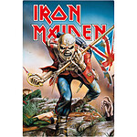 Iron Maiden - Panneau métal Trooper 20 x 30 cm