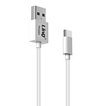 LinQ Câble USB vers USB type C Charge et Synchro Fast Charging 5A 3m  Blanc